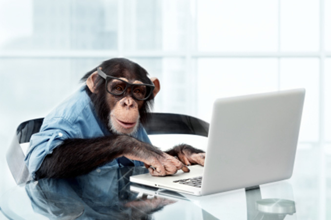 Banner Image Avanti Consulting Monkey with Computer
